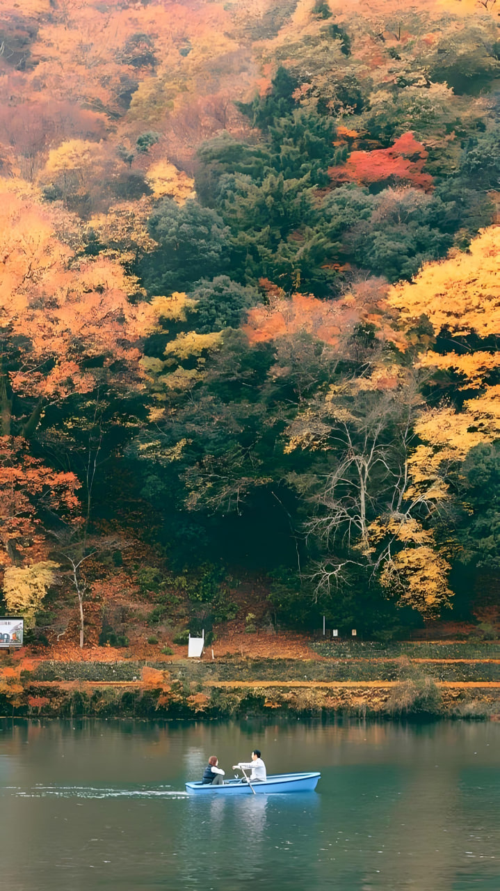 剧评配图